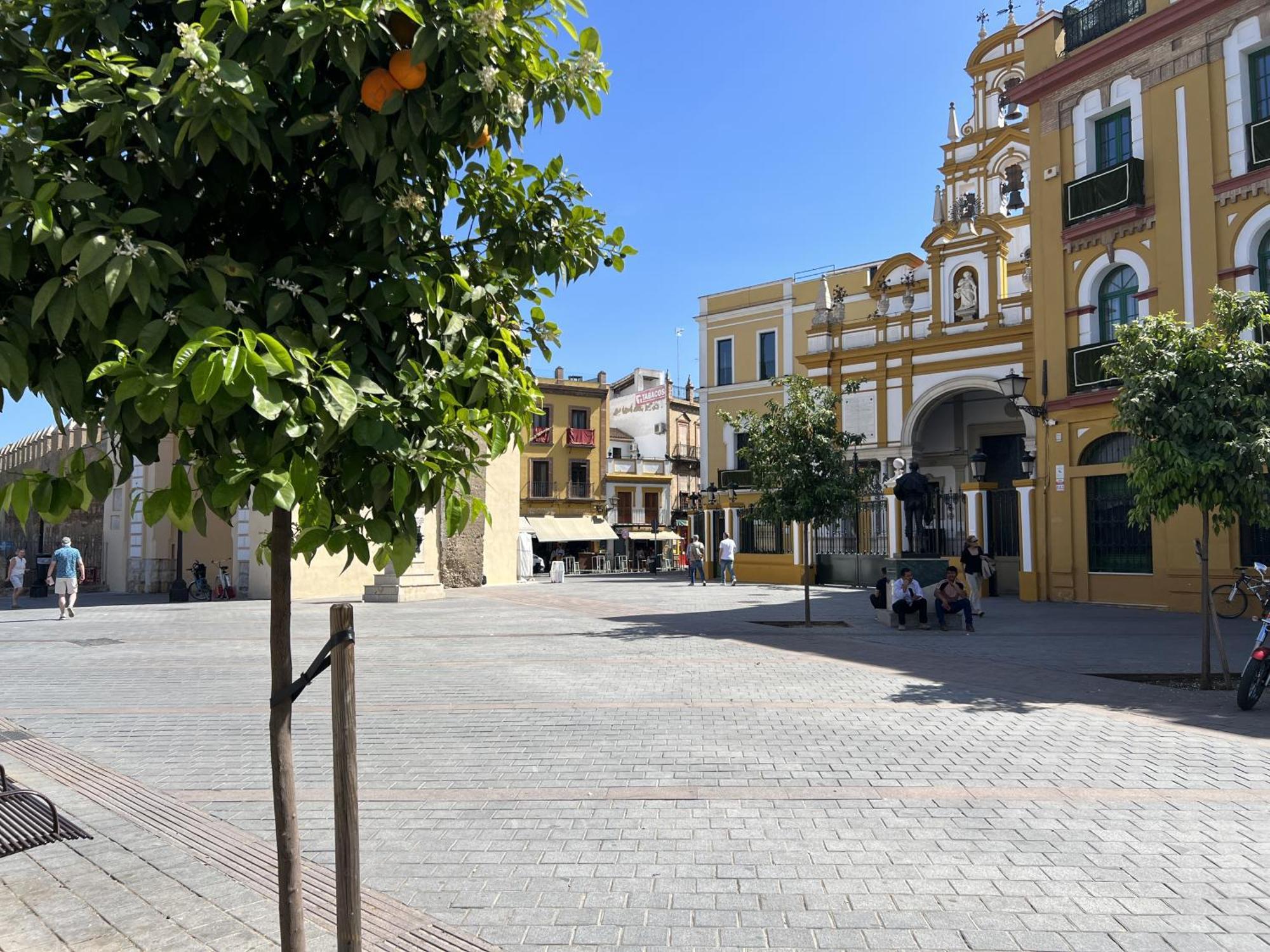 Center - Aloha Seville